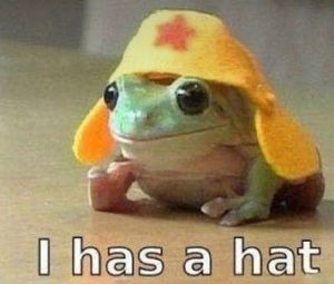 Meet your Posher, Amirah